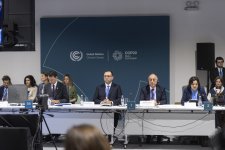 Azerbaijan's COP29 announces Baku Harmony Climate Initiative for Farmers (PHOTO)