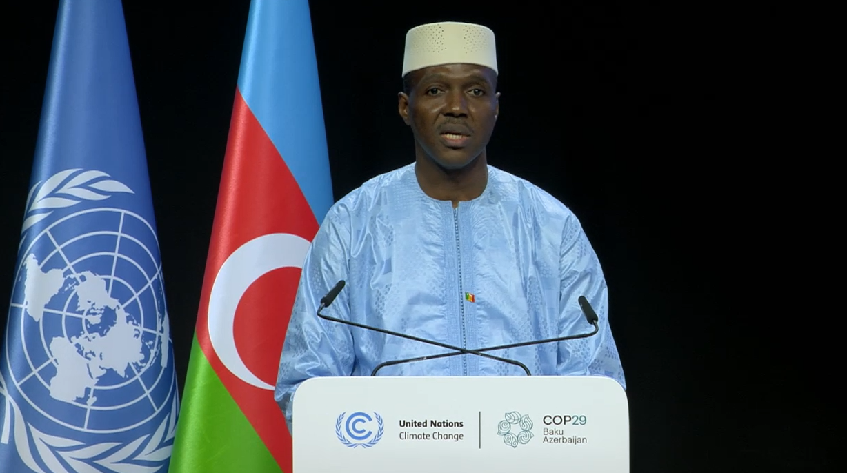 Mali discloses its measures to combat climate change