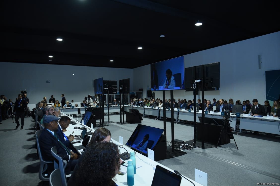 COP29 hosts event on launch of Baku Harmoniya Climate Initiative (PHOTO)