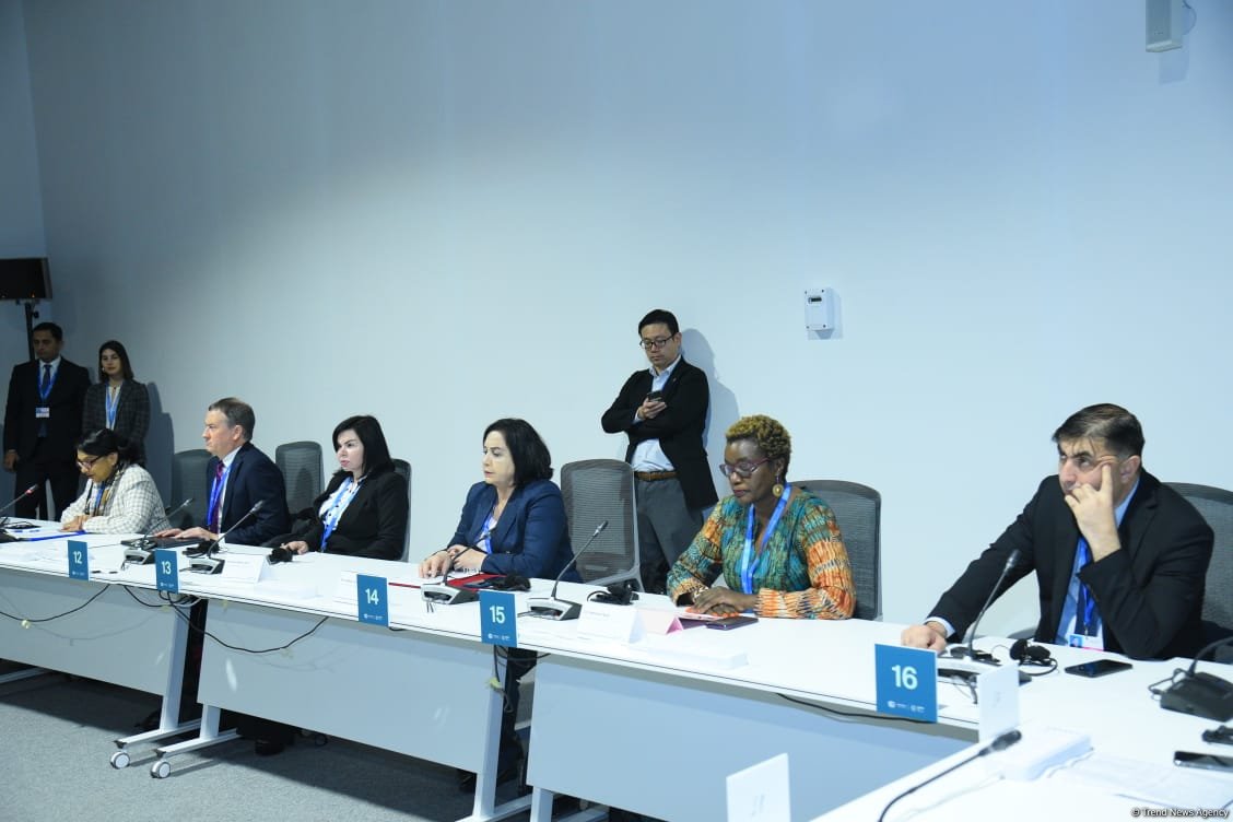 COP29 hosts event on launch of Baku Harmoniya Climate Initiative (PHOTO)