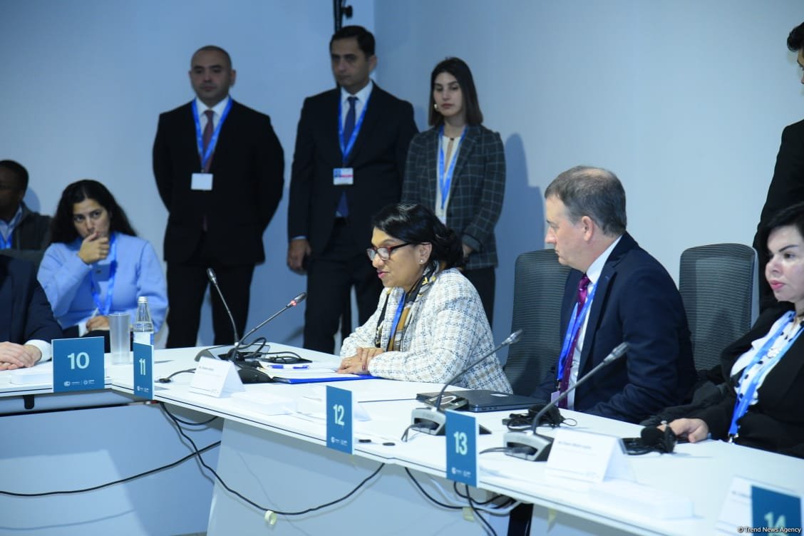 WB plans to support Baku Harmoniya initiative - Director of global agriculture and food practice