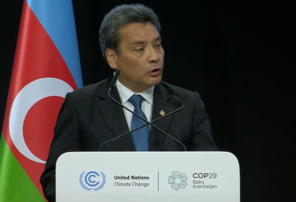 Guatemala reaffirms commitment to carbon neutrality - vice minister