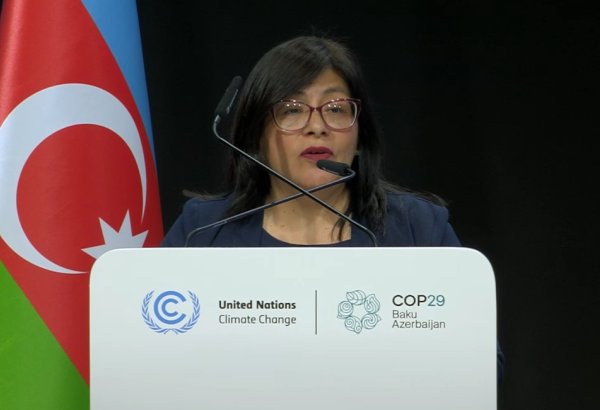 Peru urges for more ambitious action to combat climate change