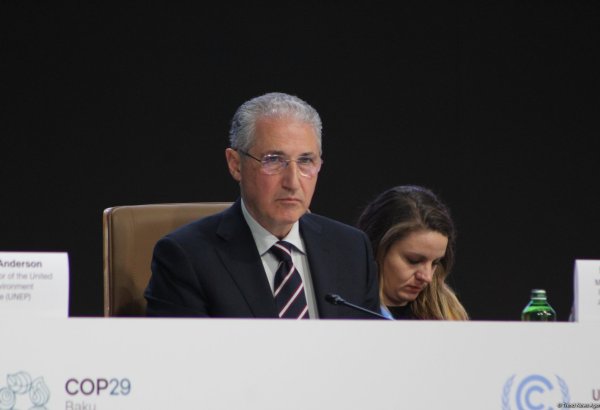COP29 Water Declaration to promote partnership to address common challenges - Azerbaijani minister