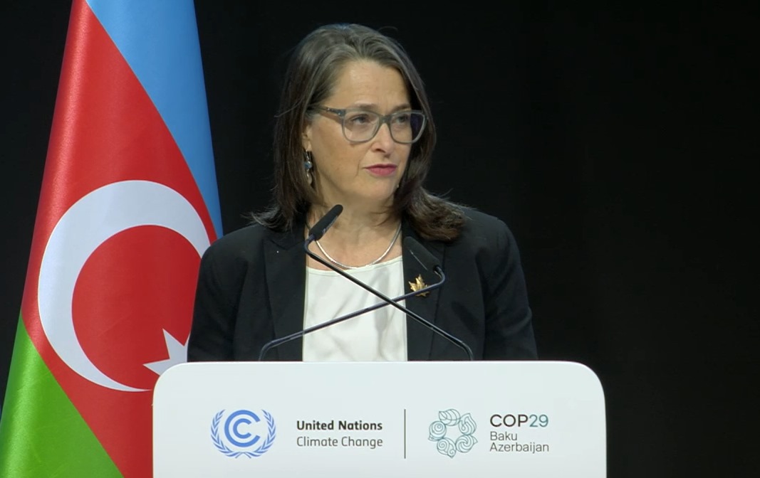 Effective climate change mitigation requires hefty financial input - Canadian Ambassador