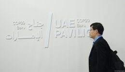 Photo report showcasing tenth day of COP29 in Azerbaijan's Baku (PHOTO)