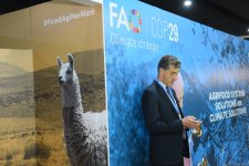 Photo report showcasing tenth day of COP29 in Azerbaijan's Baku (PHOTO)