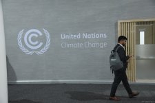 Photo report showcasing tenth day of COP29 in Azerbaijan's Baku (PHOTO)
