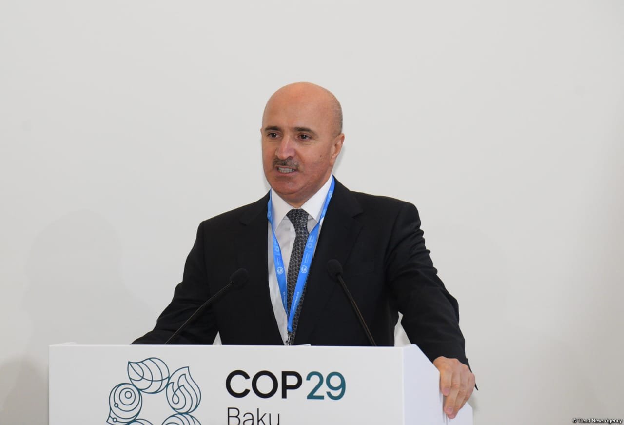 COP29 weighs up maritime sector decarbonization (PHOTO)