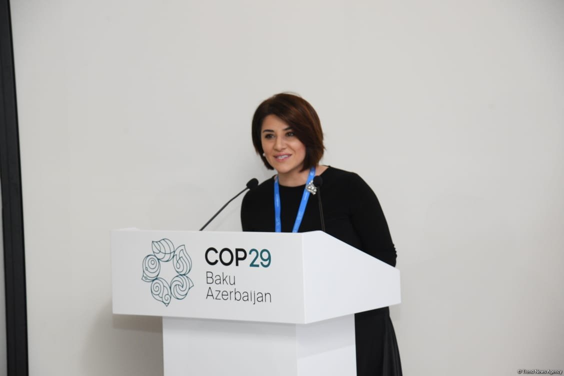 COP29 weighs up maritime sector decarbonization (PHOTO)