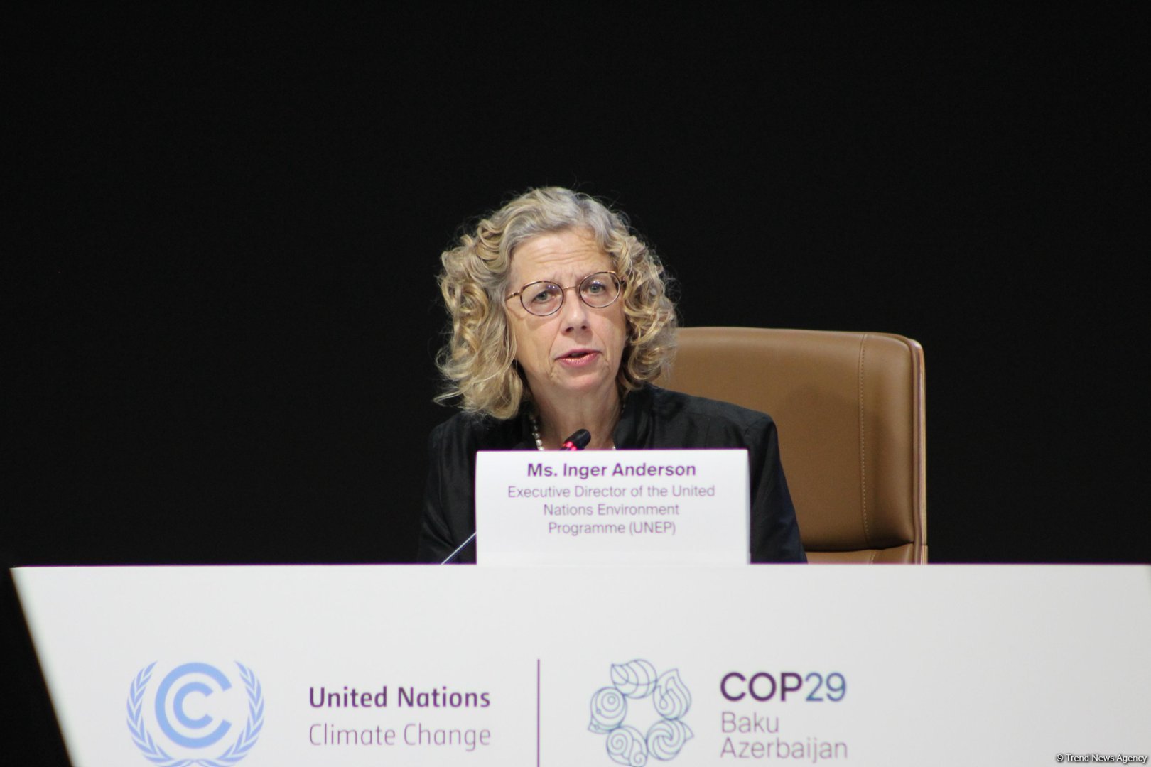 Reduction of emissions stands eminent by 2030 - UNEP