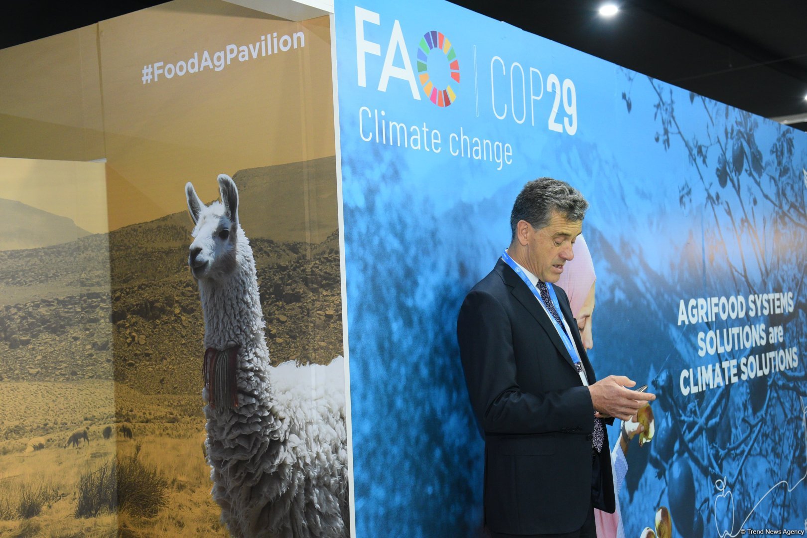 Photo report showcasing tenth day of COP29 in Azerbaijan's Baku (PHOTO)