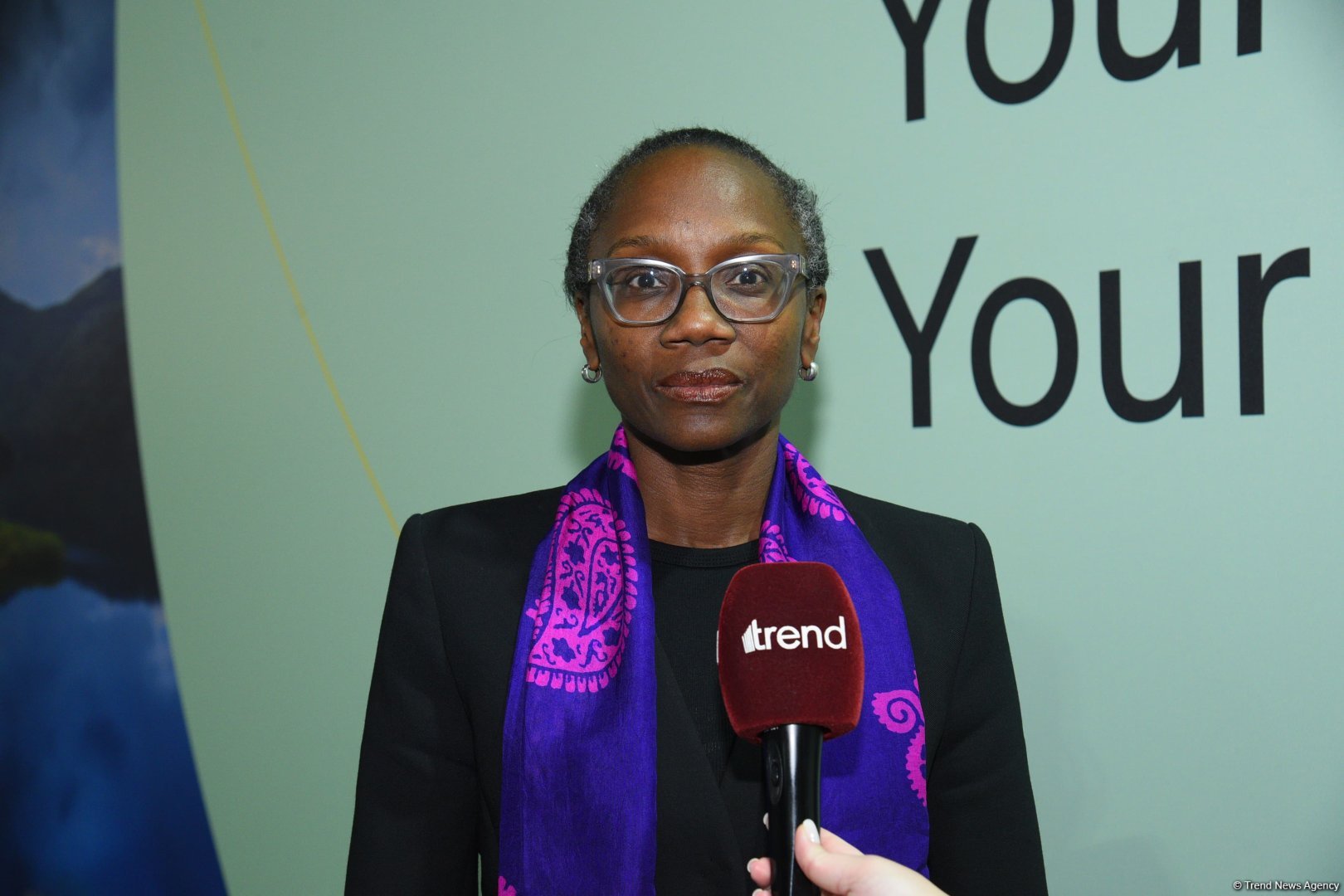 World Bank bolsters climate adaptation efforts in South Caucasus - Rolande Pryce at COP29 (Exclusive interview) (PHOTO)