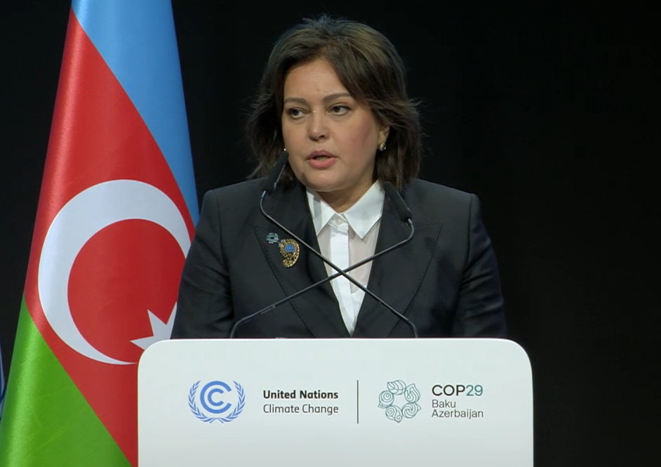 Azerbaijan highlights its updated climate targets at COP29