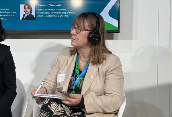EIB stresses integration of sustainability and financial reporting at COP29