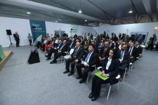 COP29 announces debut renewable energy auction winner (PHOTO)