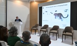 Vice-President of Heydar Aliyev Foundation Leyla Aliyeva addresses COP29 panel on leopard conservation (PHOTO)