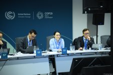 COP29 hosts high-level roundtable on biodiversity, water and climate nexus (PHOTO)