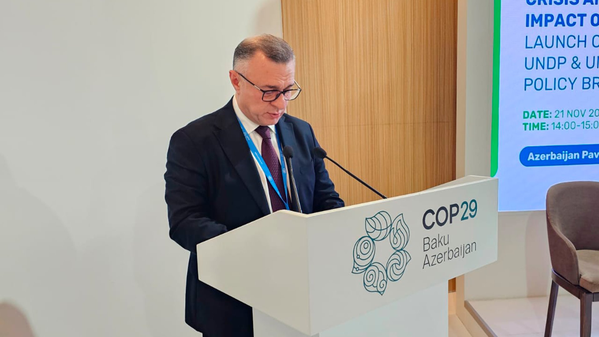 Azerbaijani minister delivers speech at HIV, climate change framework doc's presentation (PHOTO)