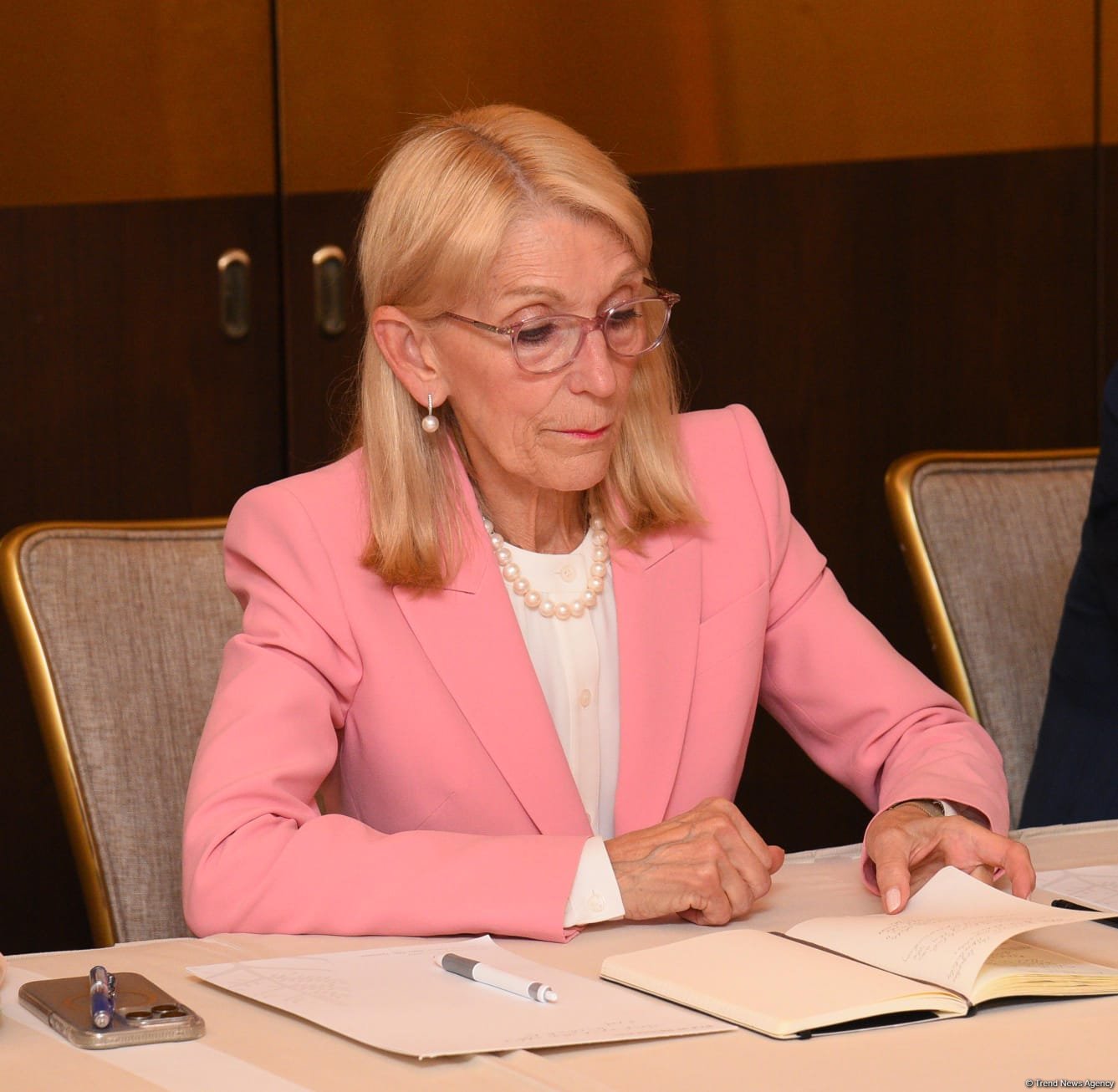 COP29 demonstrates collective efforts in achieving ambitious climate goals - board member