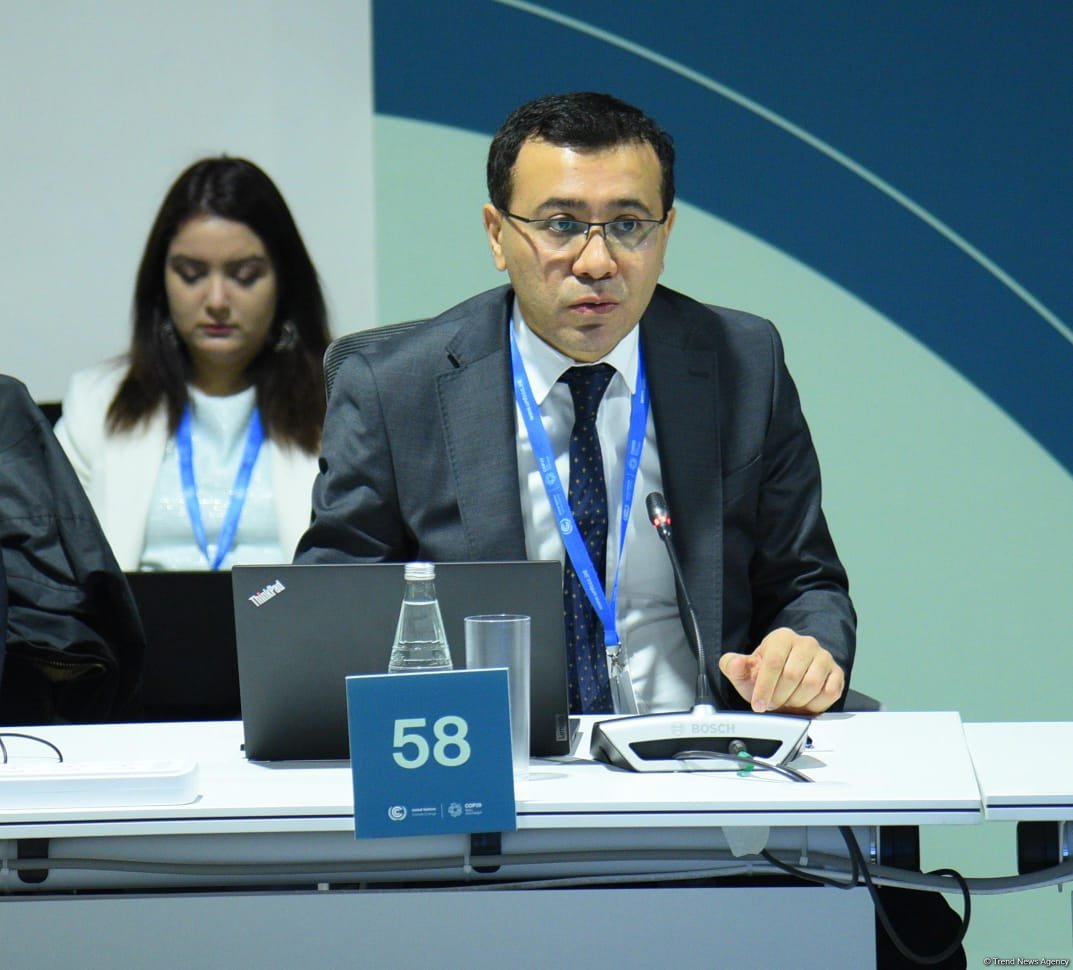 COP29 hosts high-level roundtable on biodiversity, water and climate nexus (PHOTO)