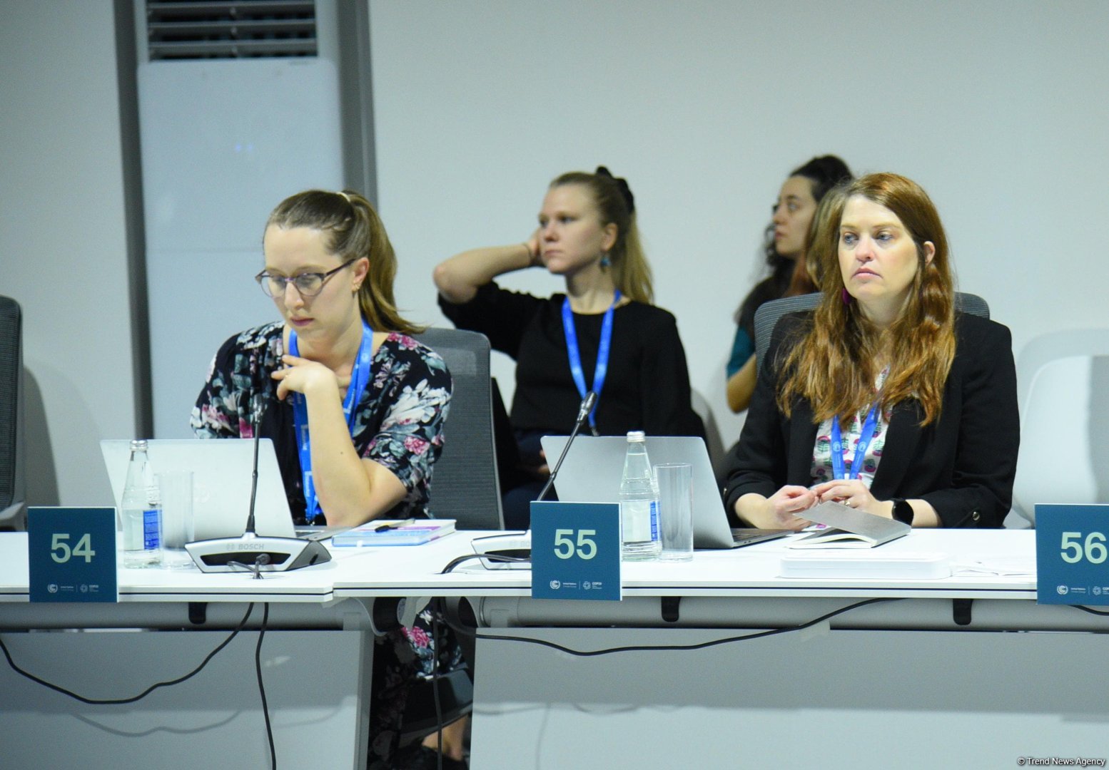 COP29 hosts high-level roundtable on biodiversity, water and climate nexus (PHOTO)