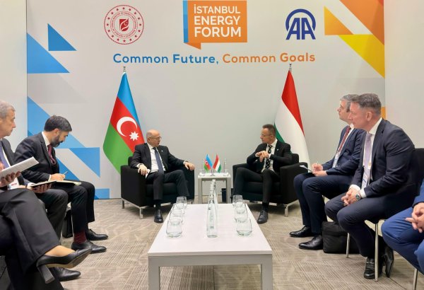Azerbaijan, Hungary mull energy cooperation in Türkiye