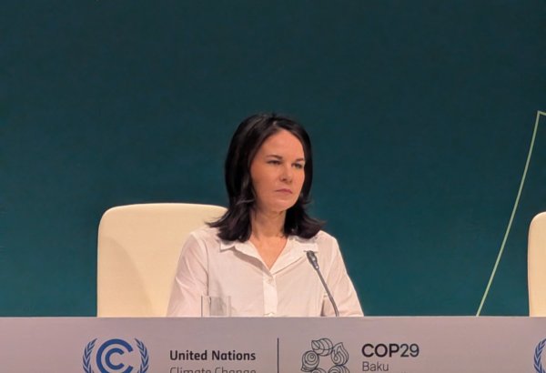 Without cutting CO2 emissions, climate action financing sounds infeasible - German FM