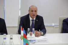 Urban development issues discussed in Baku within framework of COP29 (PHOTO)