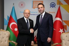 Azerbaijan-Türkiye energy cooperation in focus of Istanbul forum (PHOTO)