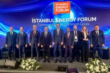 Azerbaijan’s green energy projects' drive set to boost gas exports - minister (PHOTO)