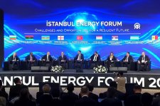 Azerbaijan’s green energy projects' drive set to boost gas exports - minister (PHOTO)