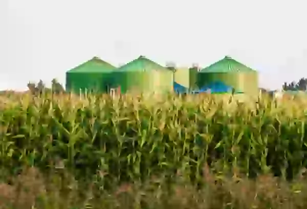 Rystad Energy forecasts significant growth in biofuel production by 2030