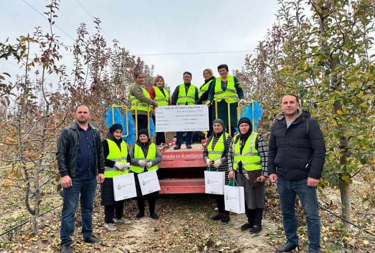 Azerbaijan pays record amount of agrarian insurance for damage to orchards