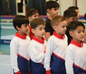 Men's, women's national artistic gymnastics competitions kick off in Baku (PHOTO)