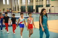 Men's, women's national artistic gymnastics competitions kick off in Baku (PHOTO)