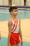 Men's, women's national artistic gymnastics competitions kick off in Baku (PHOTO)