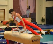 Men's, women's national artistic gymnastics competitions kick off in Baku (PHOTO)