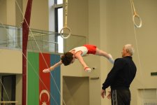 Men's, women's national artistic gymnastics competitions kick off in Baku (PHOTO)