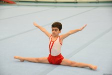 Men's, women's national artistic gymnastics competitions kick off in Baku (PHOTO)