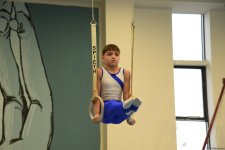 Men's, women's national artistic gymnastics competitions kick off in Baku (PHOTO)