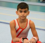 Men's, women's national artistic gymnastics competitions kick off in Baku (PHOTO)
