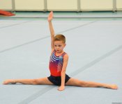 Men's, women's national artistic gymnastics competitions kick off in Baku (PHOTO)