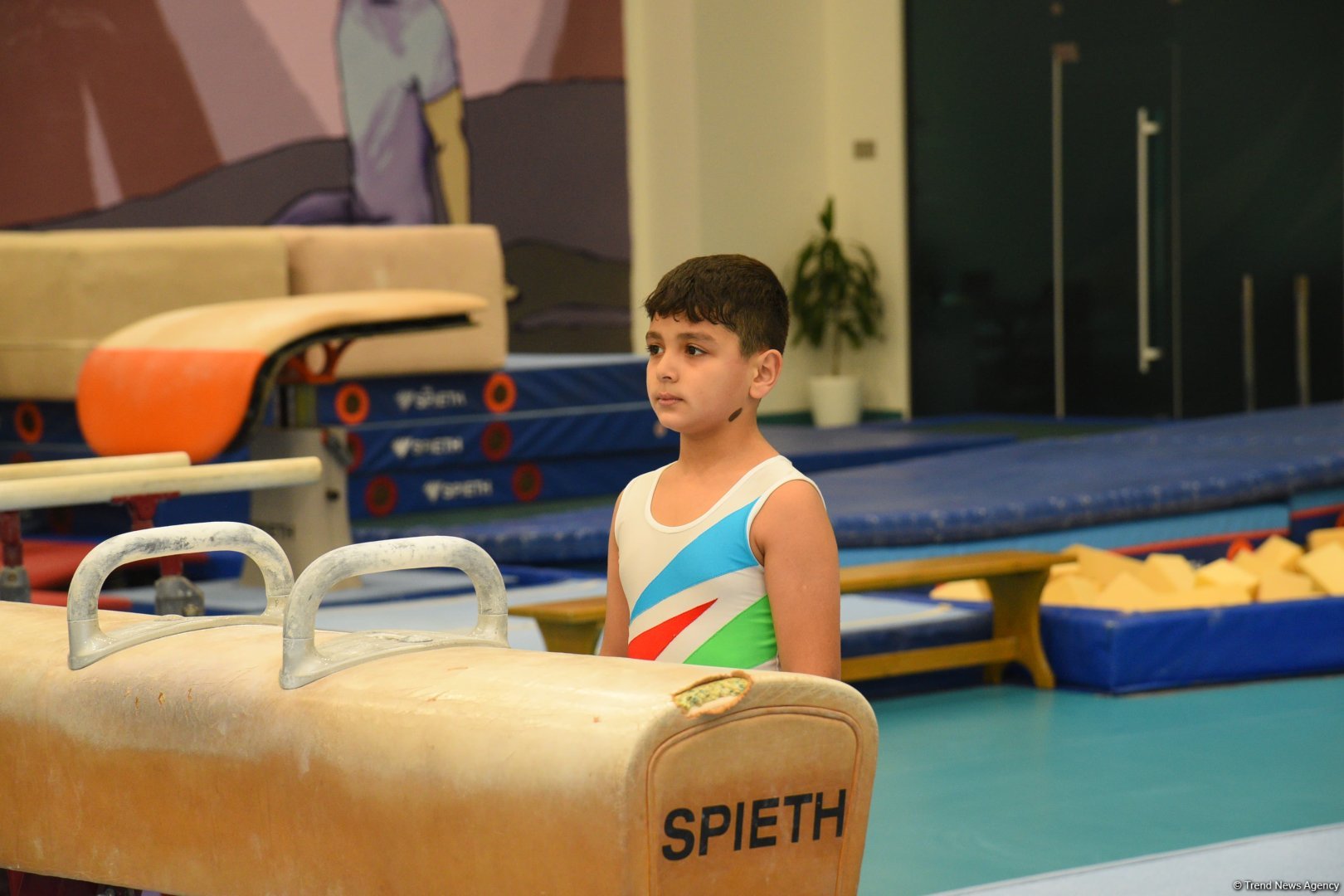 Men's, women's national artistic gymnastics competitions kick off in Baku (PHOTO)