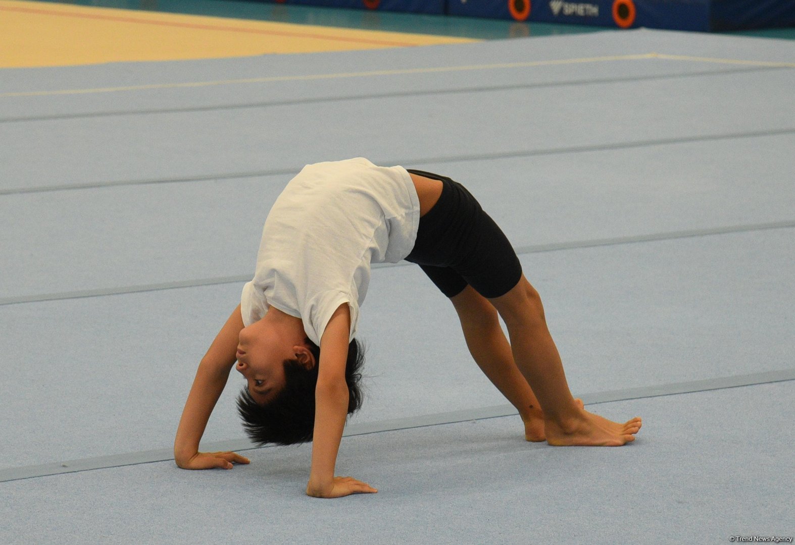 Men's, women's national artistic gymnastics competitions kick off in Baku (PHOTO)