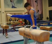 Men's, women's national artistic gymnastics competitions continue in Baku (PHOTO)