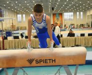 Men's, women's national artistic gymnastics competitions continue in Baku (PHOTO)