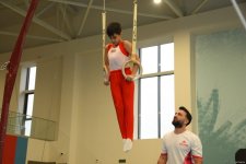 Men's, women's national artistic gymnastics competitions continue in Baku (PHOTO)