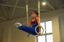 Men's, women's national artistic gymnastics competitions continue in Baku (PHOTO)