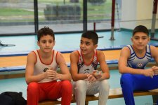 Men's, women's national artistic gymnastics competitions continue in Baku (PHOTO)